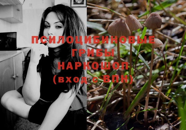 ПСИЛОЦИБИНОВЫЕ ГРИБЫ Володарск
