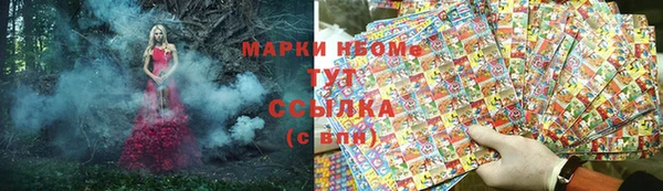 гидра Вязьма