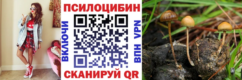 Купить  Киржач  Галлюциногенные грибы прущие грибы 